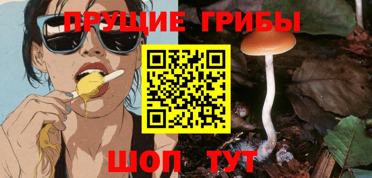 Псилоцибиновые грибы Psilocybine cubensis Магадан